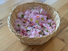 Wild Rose and Orange Vanilla Glow-Girl Bundle + Free Gold Cosmetic Spoon